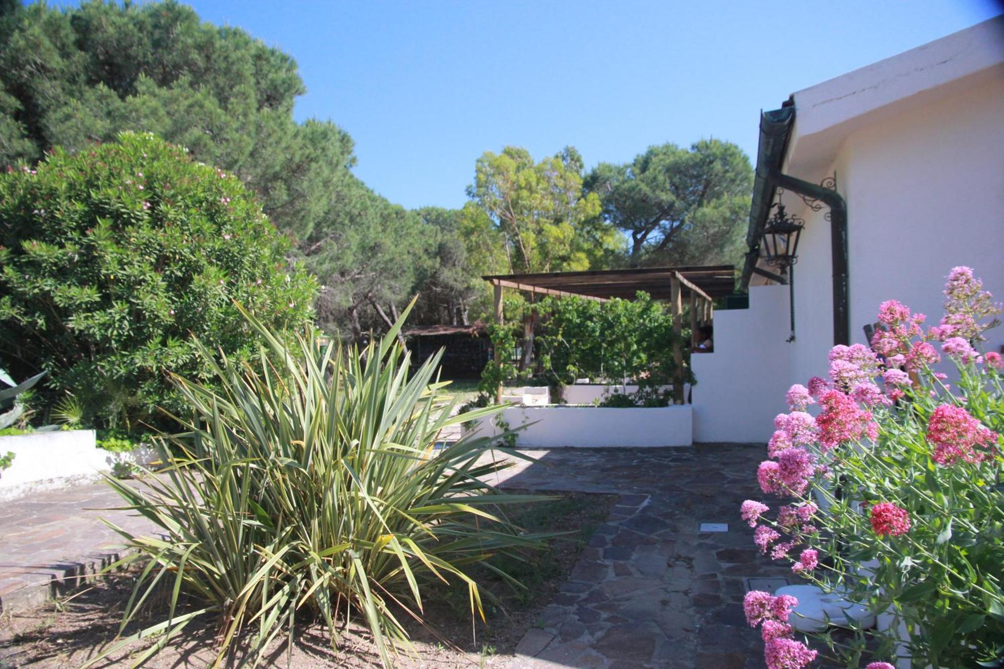 Azienda Agricola Sapereta Porto Azzurro Εξωτερικό φωτογραφία